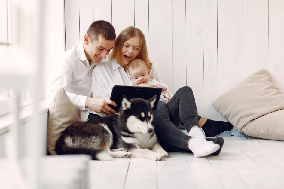 Київщина очолила рейтинг pet-friendly оренди: де в Україні найлегше зняти житло з тваринами - 1