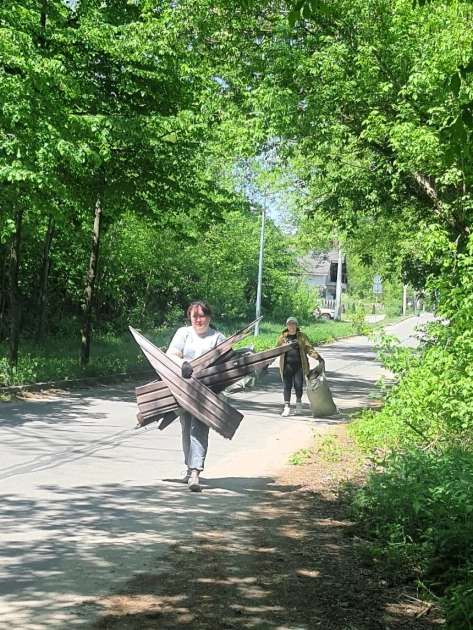 У Пущі-Водиці кияни вийшли на толоку проти забудови: як захищають віковий ліс - 3