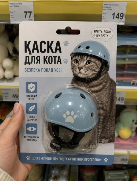 У Києві почали продавати шоломи для котів: для чого потрібен незвичний аксесуар - 1
