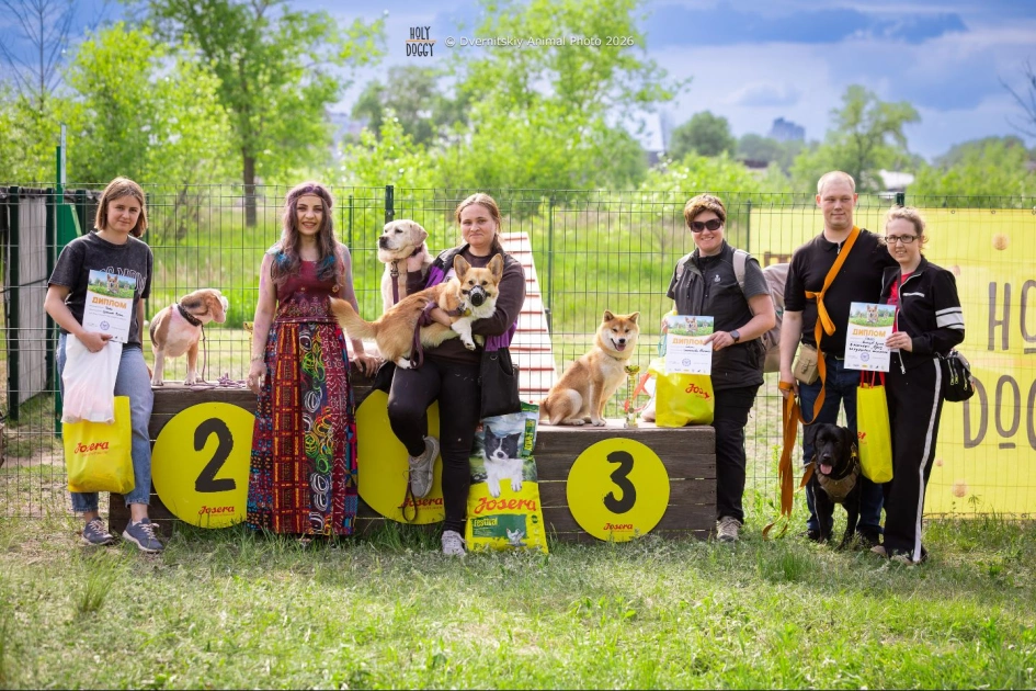 Holy Doggy Place у Києві відзначив річницю та анонсував рекорд для собак: фото - 5