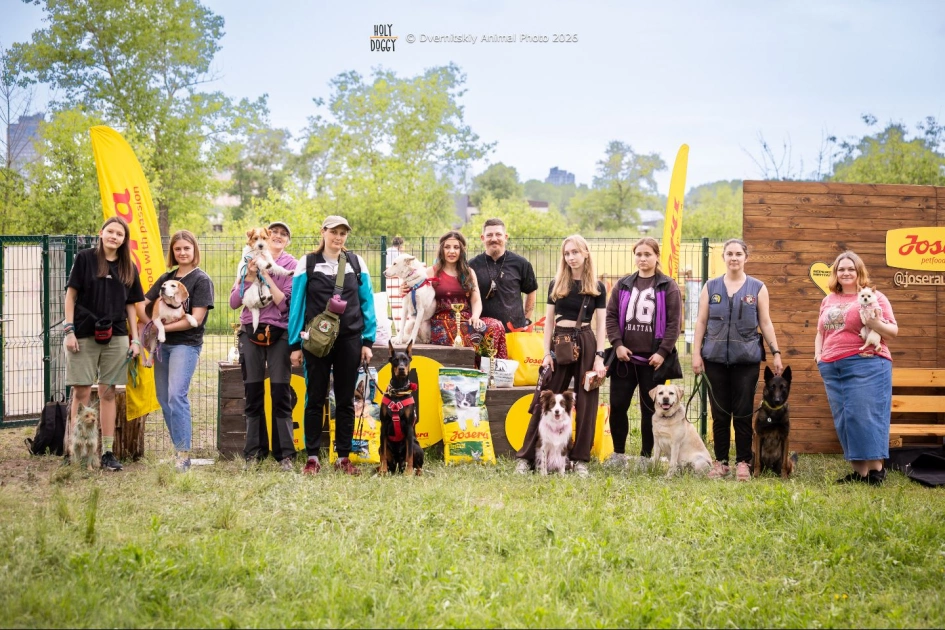 Holy Doggy Place у Києві відзначив річницю та анонсував рекорд для собак: фото - 4