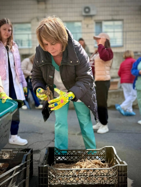 В Охматдиті висадили жоржини в межах проєкту «Квіти для відновлення» — як ініціатива підтримує медиків і пацієнтів - 1