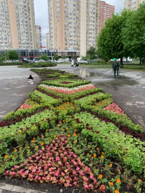 Київ «одягнувся» у квіткові вишиванки: як столицю прикрасили до Дня вишиванки - 3