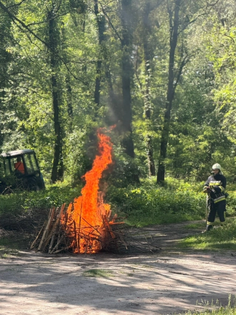 Київ готується до пожежонебезпечного сезону: у лісопарку провели масштабні навчання рятувальників - 1