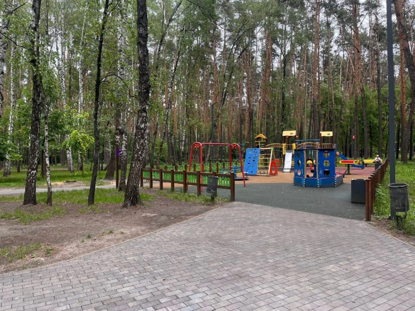 Парк «Совки» у Святошинському районі Києва — зелений ліс посеред мегаполіса - 1