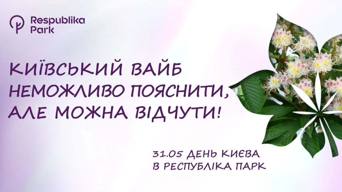 День Києва в ТРЦ Respublika Park: концерт Зіброва та рекордний торт - 3