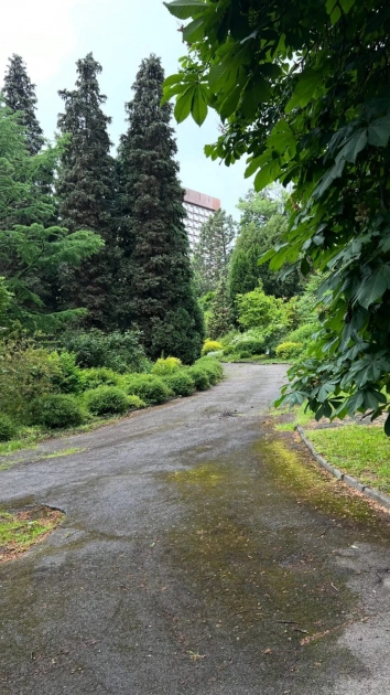 У ботсаду Фоміна у Києві вперше відкрили закриту частину для відвідувачів - 2