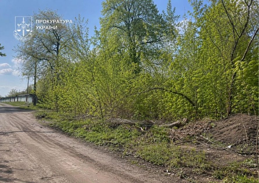 Комунальна земля вартістю понад 14 млн грн залишилася у власності громади — рішення суду - 2