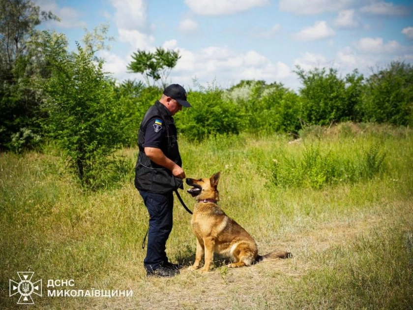 Як кінологи ДСНС України тренують чотирилапих саперів: показали унікальні фото підготовки - 2