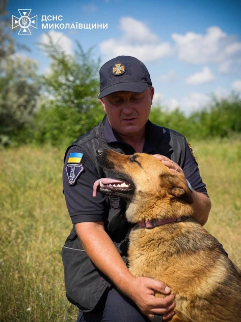 Як кінологи ДСНС України тренують чотирилапих саперів: показали унікальні фото підготовки - 1