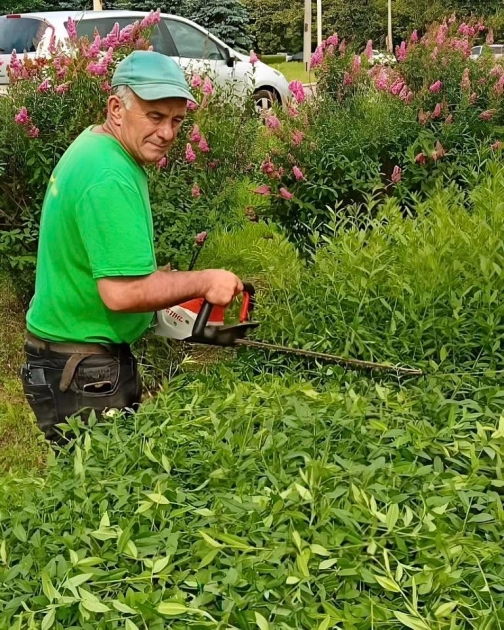 На Подолі в Києві оновлюють зелені зони: догляд за деревами та формування чагарників - 2