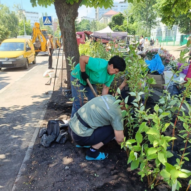 У Києві на Солом’янці завершили озеленення скверу в Політехнічному провулку: що зробили комунальники - 4