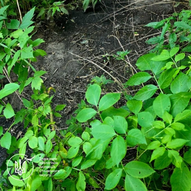 На Київщині виявили розлив стічних вод: екологи перевіряють можливе джерело забруднення - 1