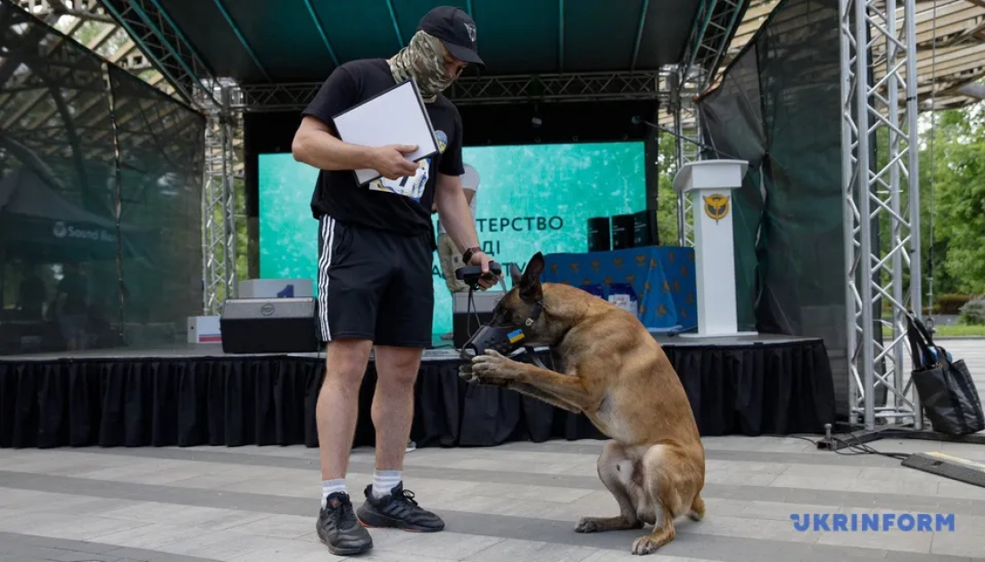 У Києві провели військовий K9-забіг із собаками: встановлено рекорд України - 2