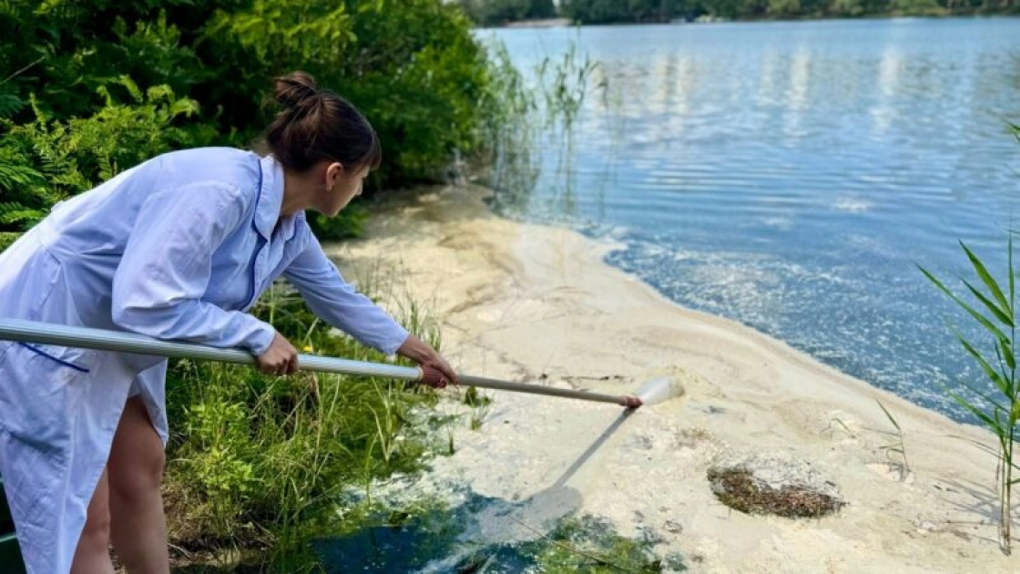 На озері Небреж у Києві з’явилася піна — фахівці з’ясовують причини - 1