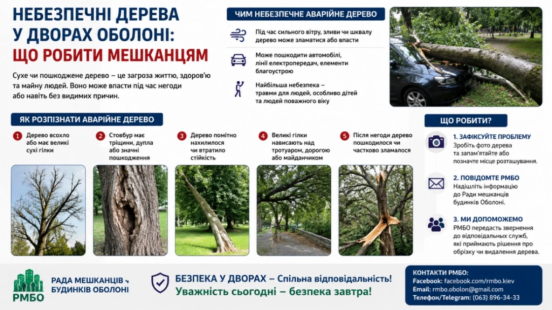 Аварійні дерева в Оболоні: мешканцям пояснили, як розпізнати небезпеку і куди звертатися - 1