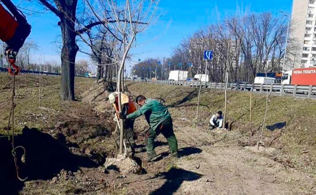 Скільки коштує озеленення Києва та як обирають парки для ремонту: пояснення Київзеленбуду - 4