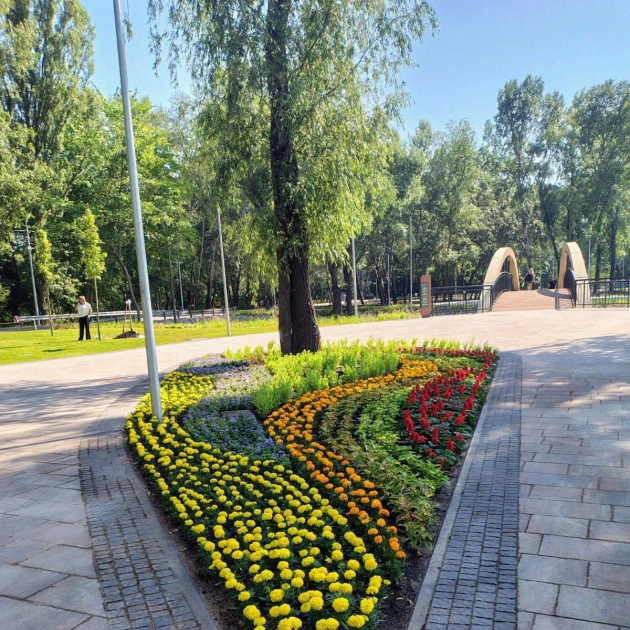 Скільки коштує озеленення Києва та як обирають парки для ремонту: пояснення Київзеленбуду - 1
