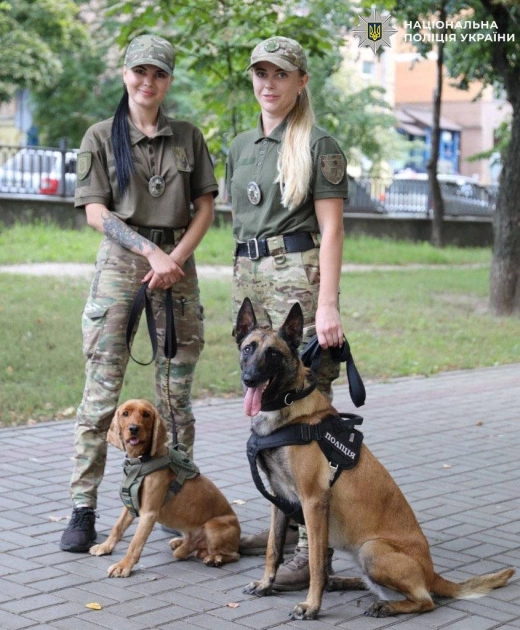 Поліція Києва оголосила набір інспекторів-кінологів: як подати заявку - 1
