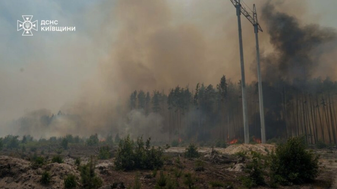У Чорнобильській зоні загасили 130 гектарів лісу, боротьба з пожежами триває - 3