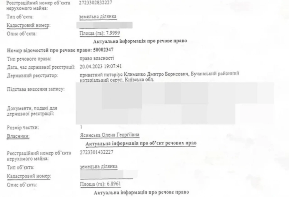 У декларації немає житла, а у родини — пентхауси: що приховує декларація Георгія Ясинського - 3