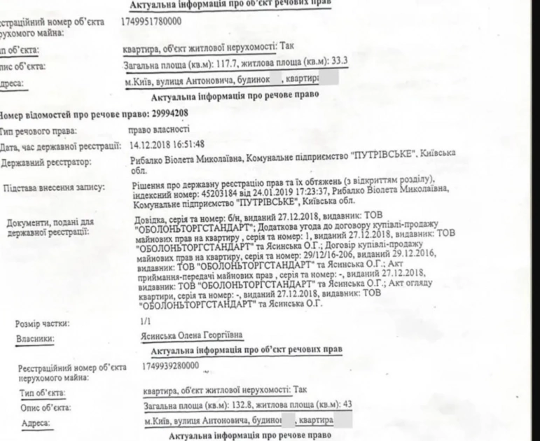 У декларації немає житла, а у родини — пентхауси: що приховує декларація Георгія Ясинського - 1
