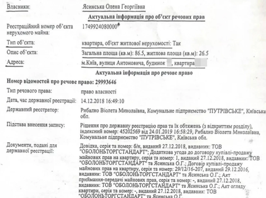 У декларації немає житла, а у родини — пентхауси: що приховує декларація Георгія Ясинського - 2
