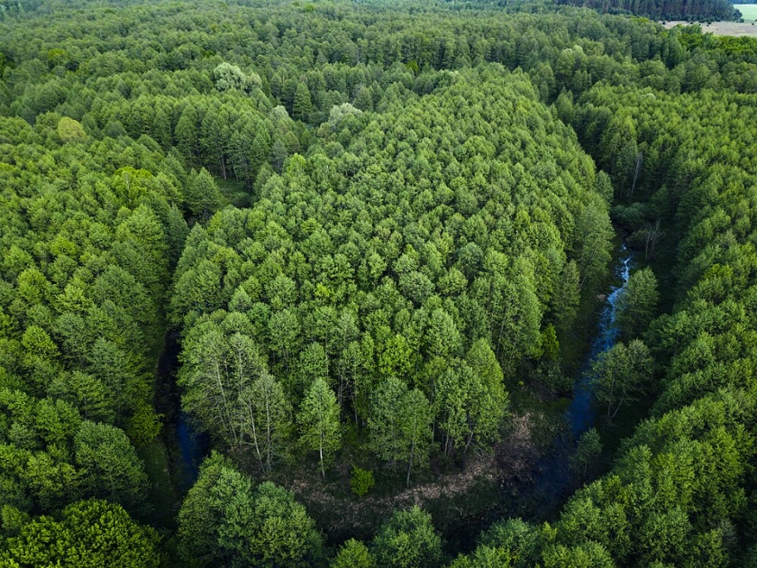 Міжрічинський регіональний ландшафтний парк