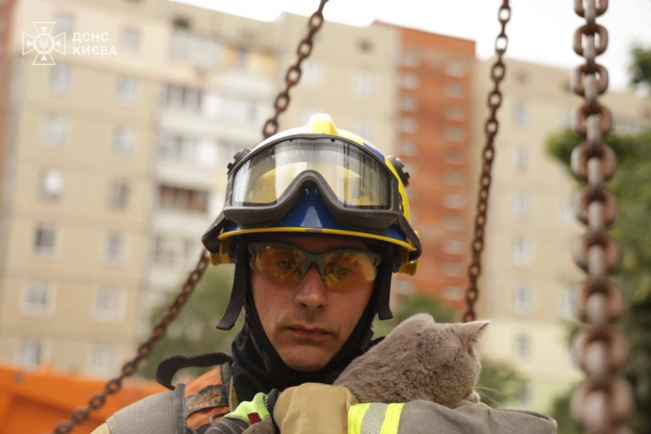 У Києві після обстрілу врятували кота з пошкодженої квартири: зворушливі фото - 1