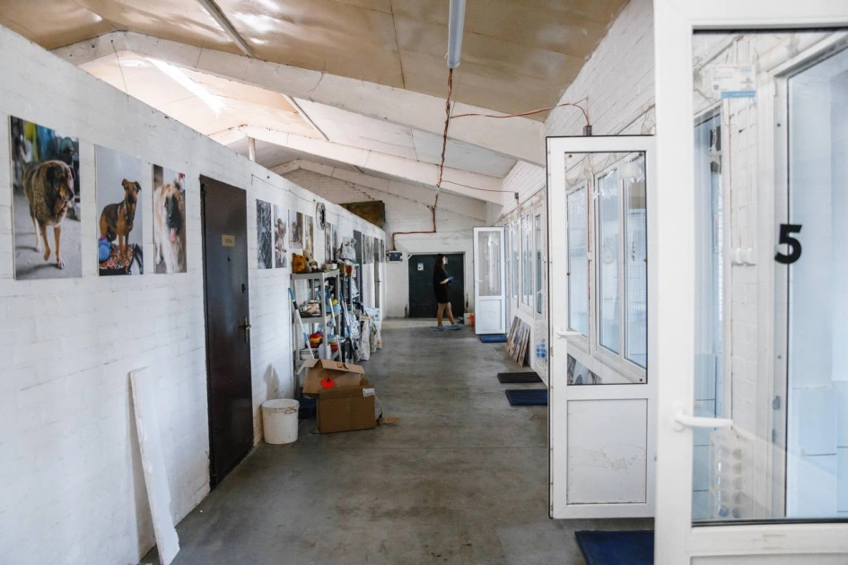 У Gostomel Shelter проведуть благодійну толоку для допомоги тваринам - 1