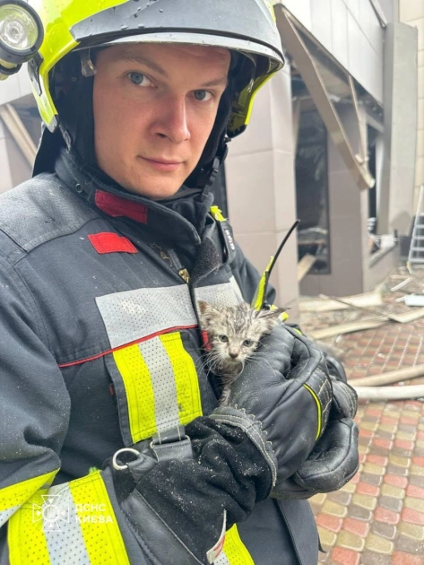 Рятувальники врятували кошенят із завалів у Києві та Вишневому після обстрілів - 3