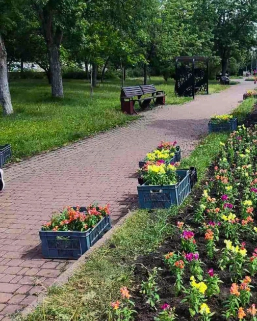 У парку «Фестивальний» у Києві висадили 1200 нових квітів на центральній алеї - 2