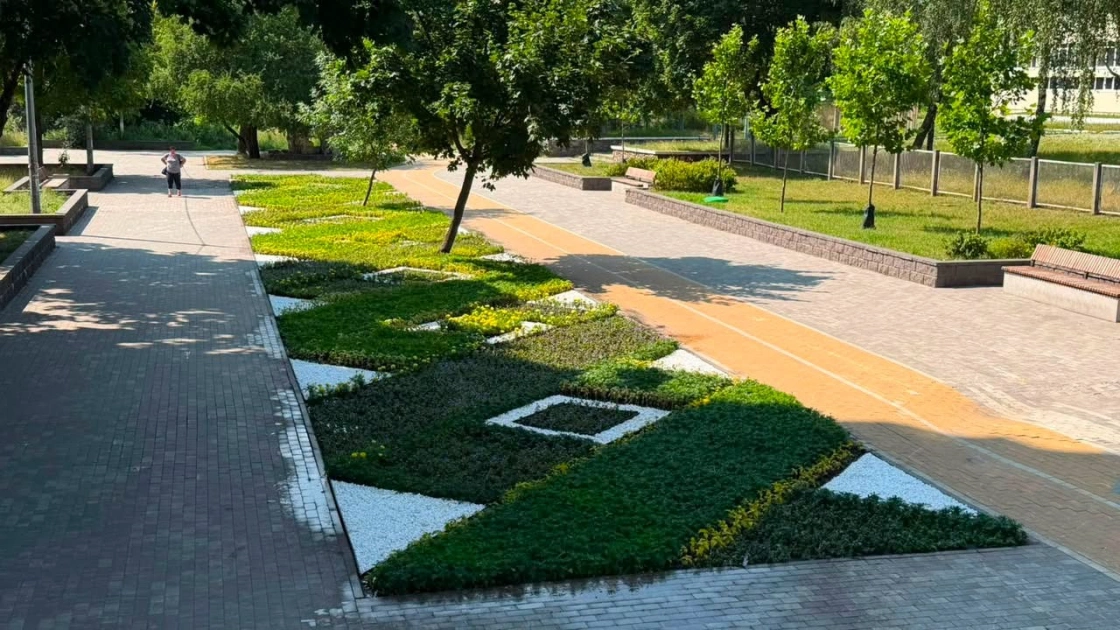 У сквері Георгія Гонгадзе в Києві створили квітковий килим із 42 тисяч рослин - 3