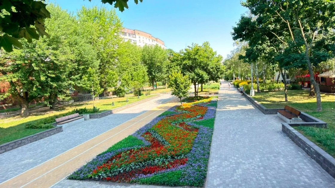 У сквері Георгія Гонгадзе в Києві створили квітковий килим із 42 тисяч рослин - 2