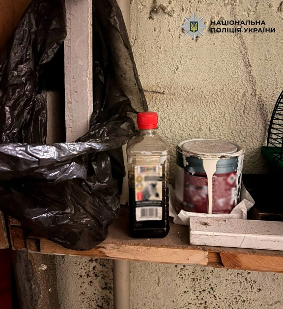 У Києві жінку засудили до 5 років і 1 місяця за підпал тамбура після сварки зі співмешканцем - 2