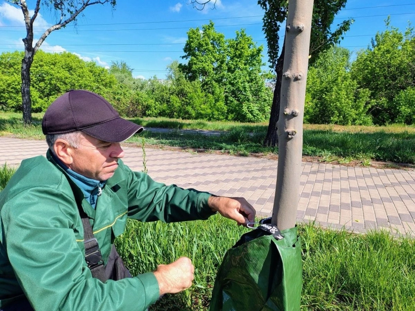 У Києві за пів року встановили понад 6 тисяч систем повільного поливу дерев - 3