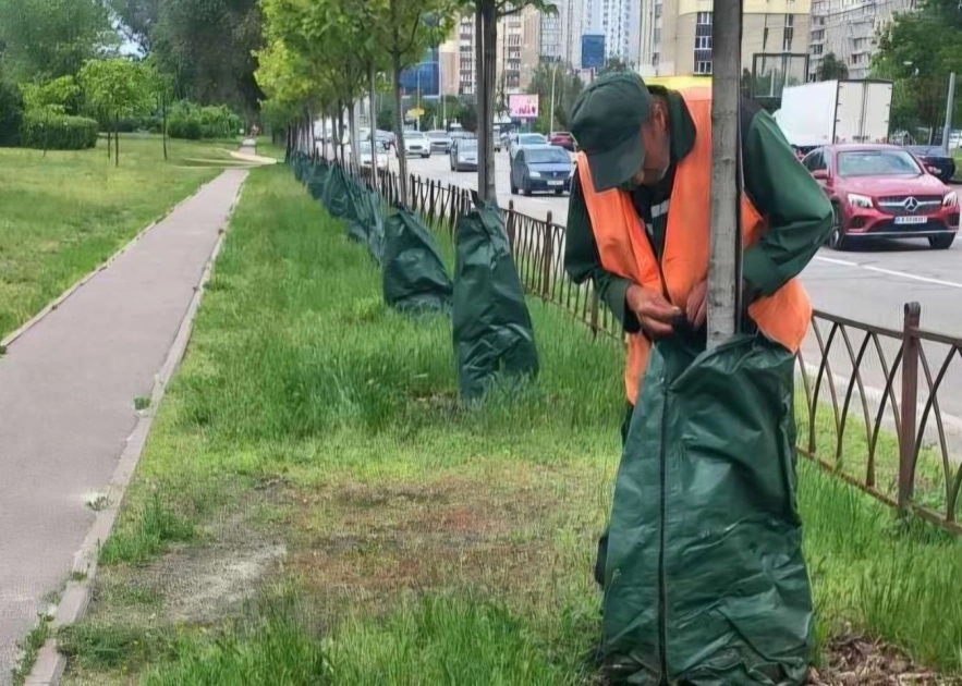 У Києві за пів року встановили понад 6 тисяч систем повільного поливу дерев - 1