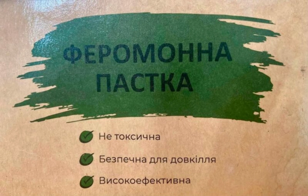 Київські каштани захищають від молі: у місті встановили феромонні пастки - 4