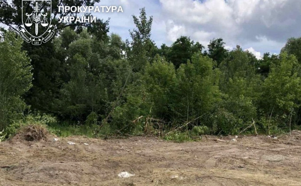 У Святошинському лісництві Києва знесли незаконні гаражі на території Нацпарку - 1